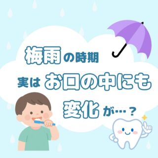 おうち矯正 Amazon | 0歳からのおうち矯正 | スタンダード消しゴム | 文房具